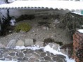 /album/fotogaleria/kryta-skalka-zima-jpg/